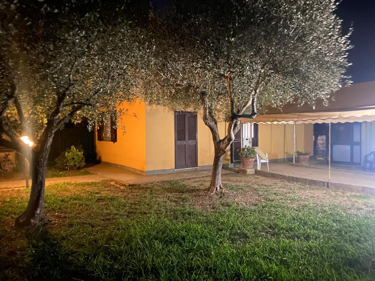 Casa Versilia * Mommio