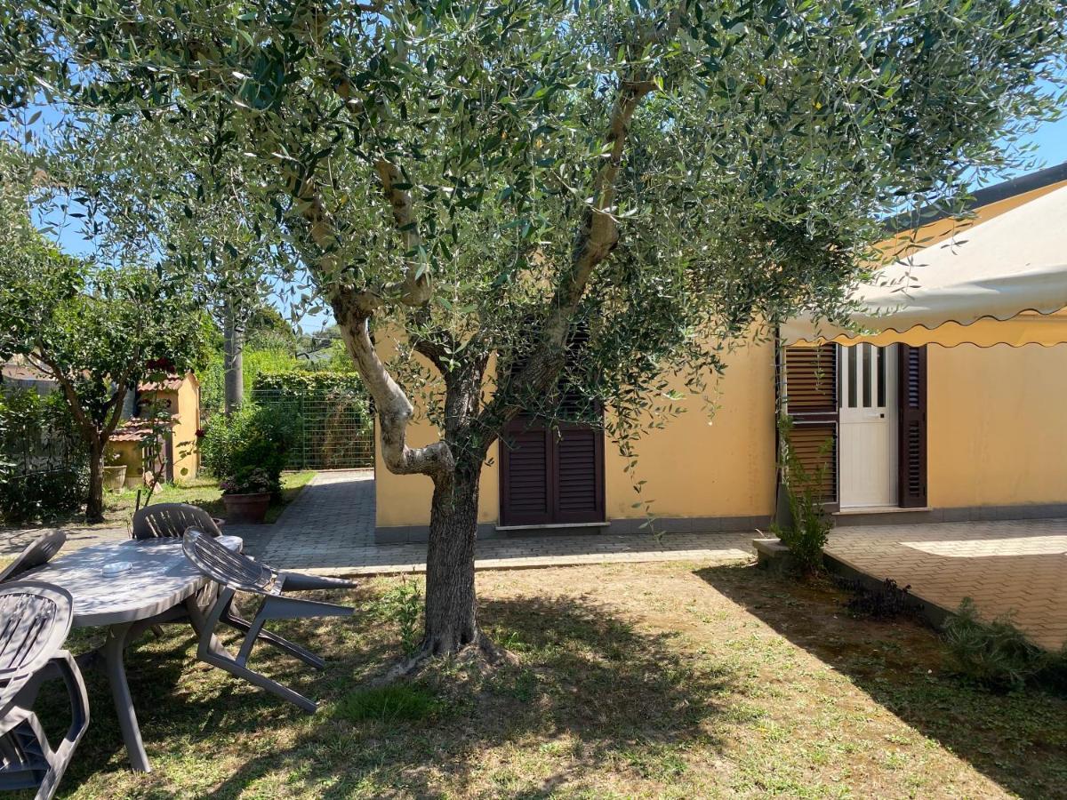 Casa Versilia Holiday home Mommio